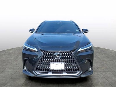 2025 Lexus NX NX 350