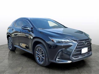 2025 Lexus NX NX 350